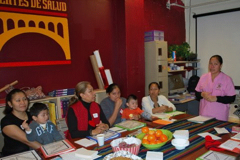 Do Studies Provide Enough Information to Help us Understand CHW Programs?